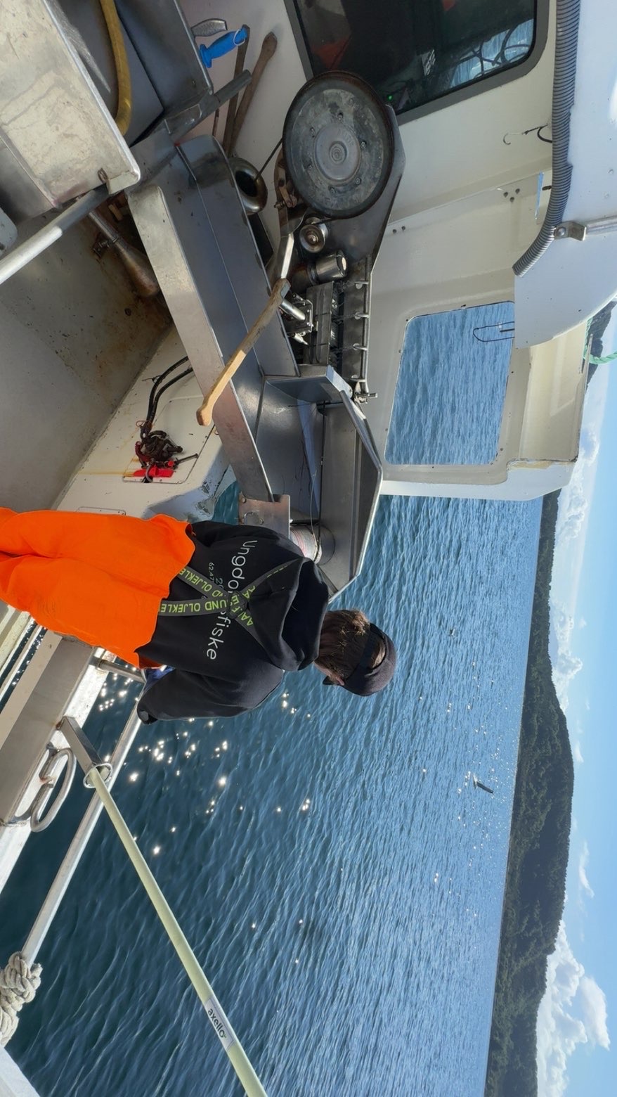 Fiske på sjøen